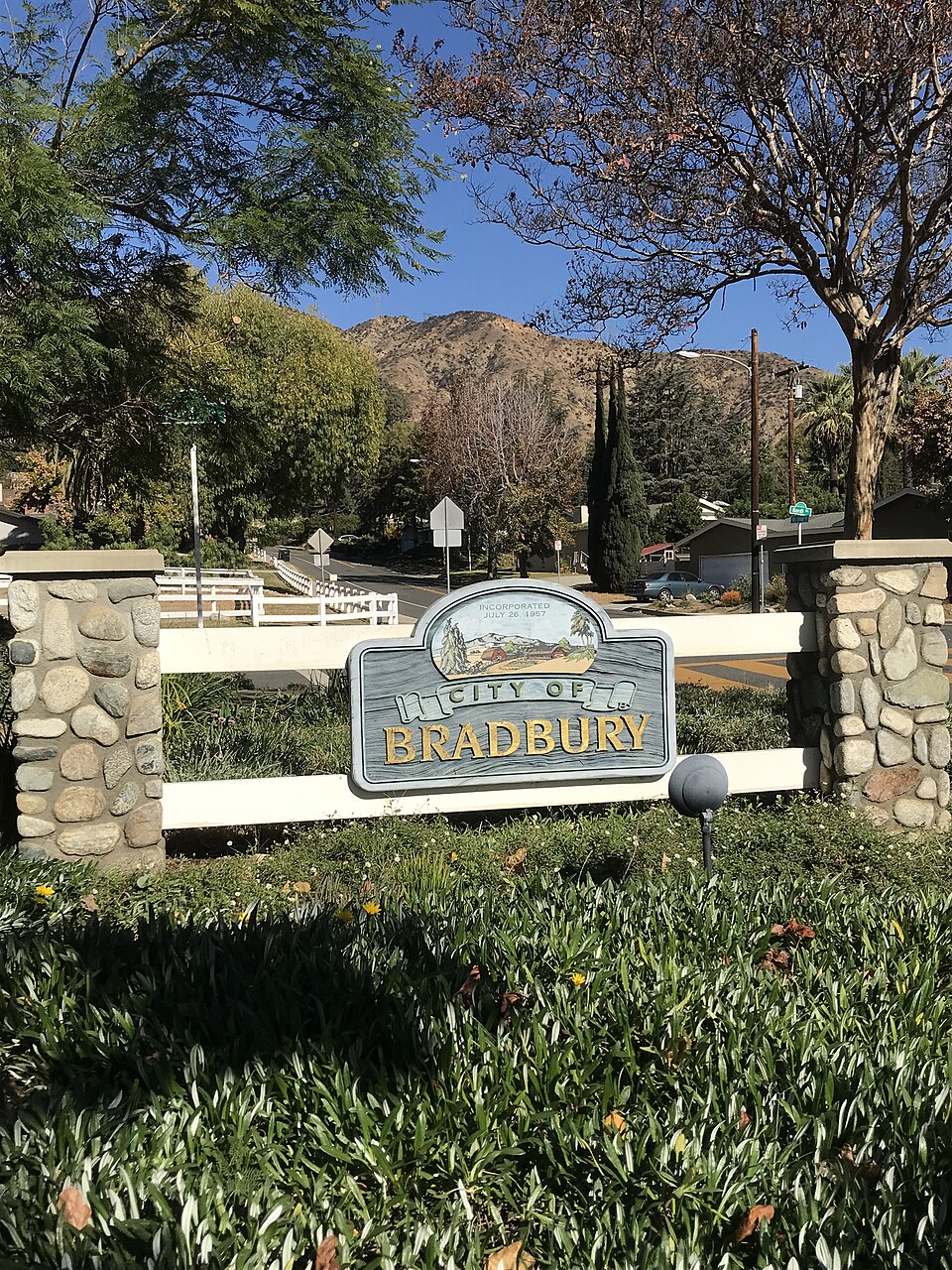 Bradbury local area and buyer social infrastructure research