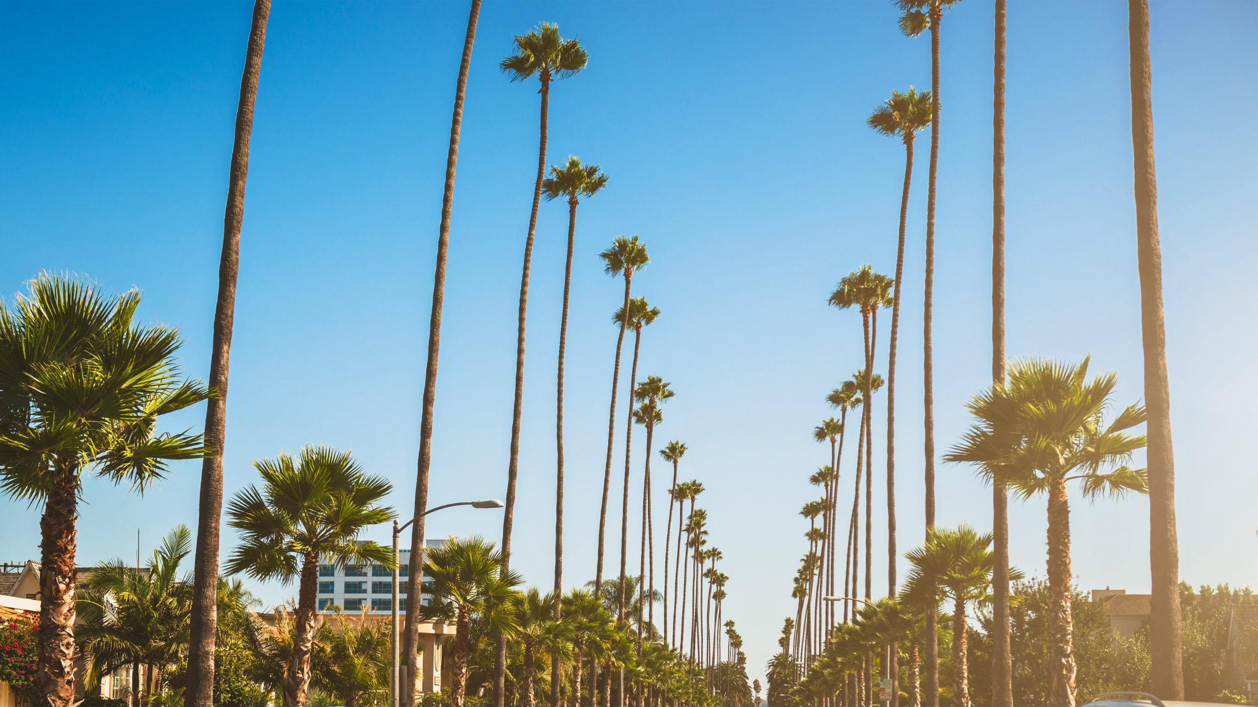 Carson local area and buyer social infrastructure research